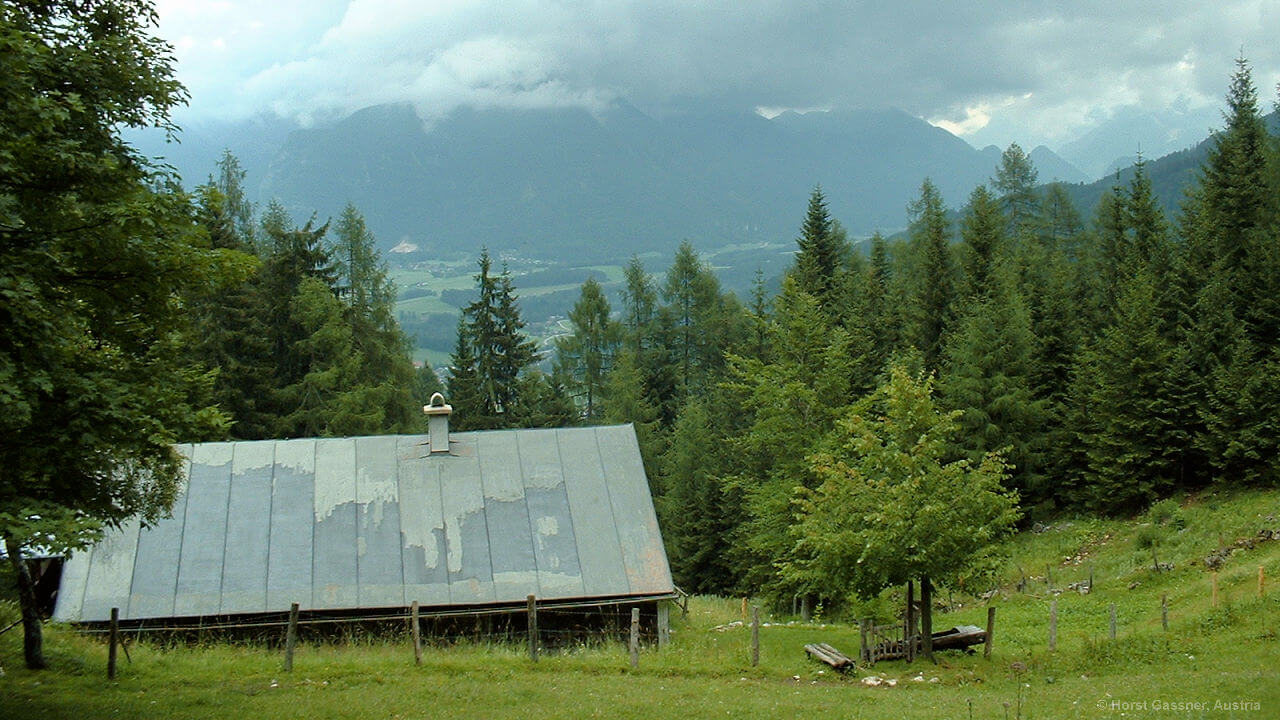 Dürntalalm