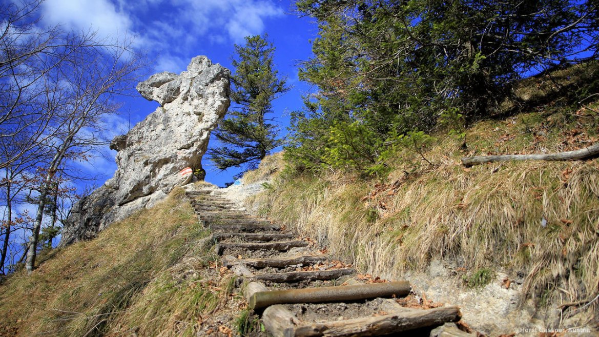 Nockstein - Treppe hinauf zum Glücksplatz Nockstein - Treppe hinauf zum Glücksplatz