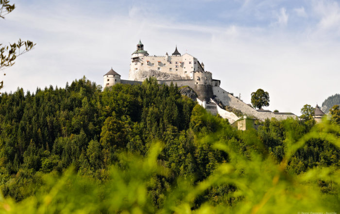 Burg hoch auf einem Fels im Wald
