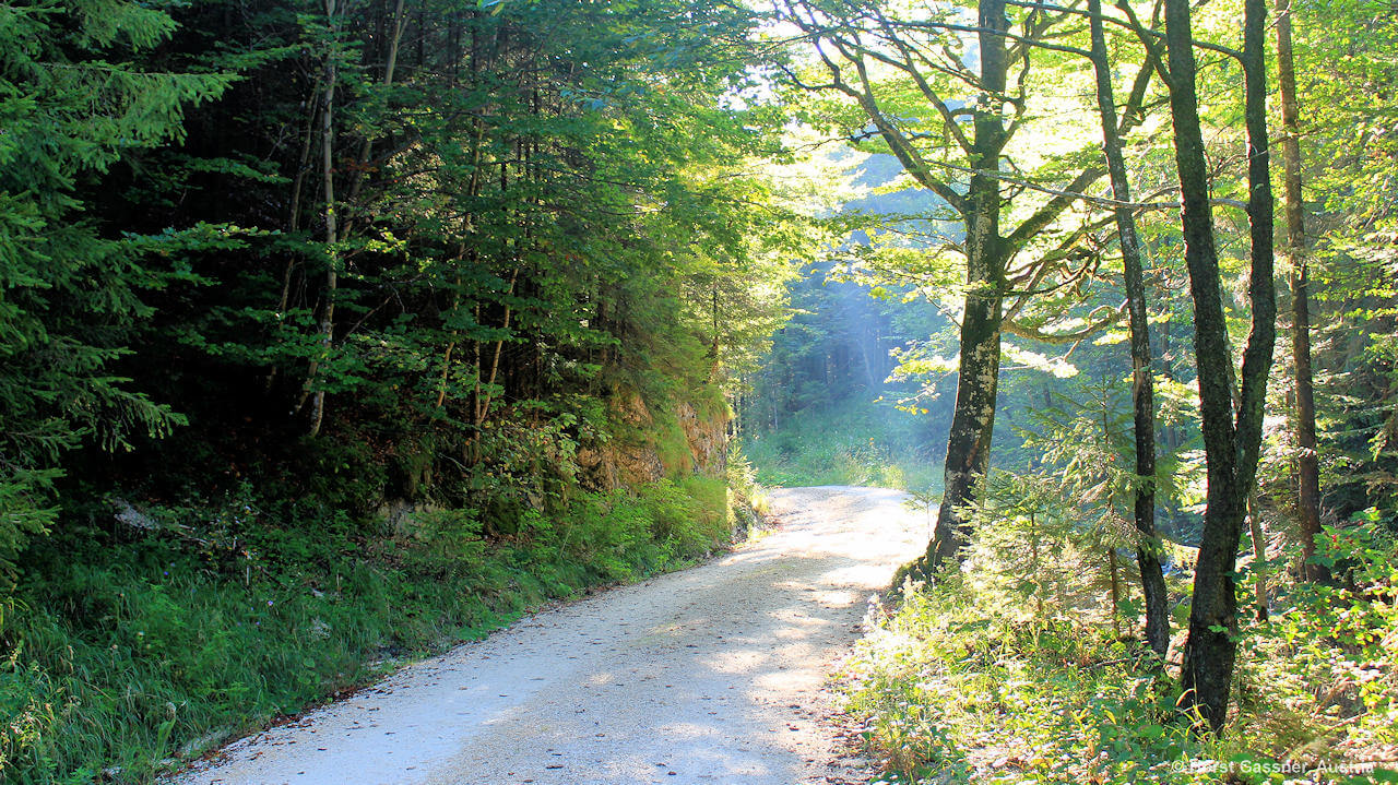 Weg zum Eibensee