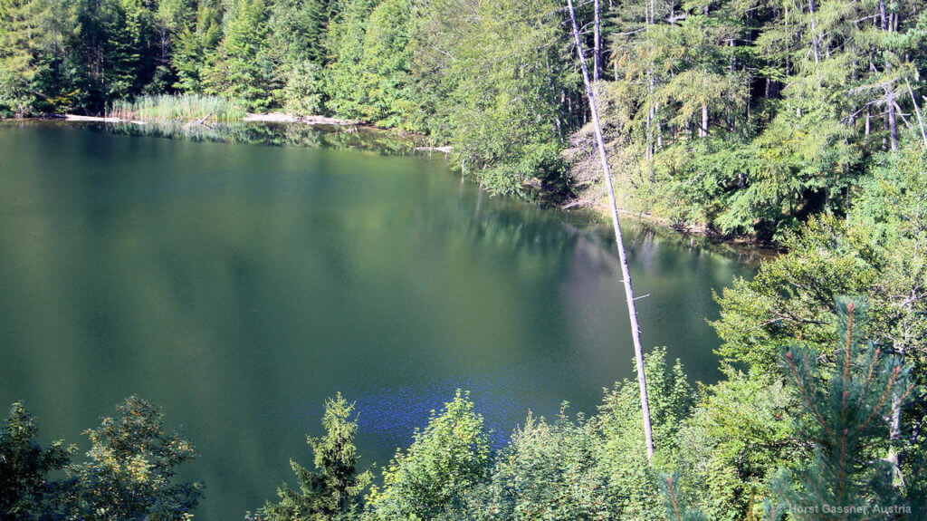 Eibensee vom Marienköpfl aus