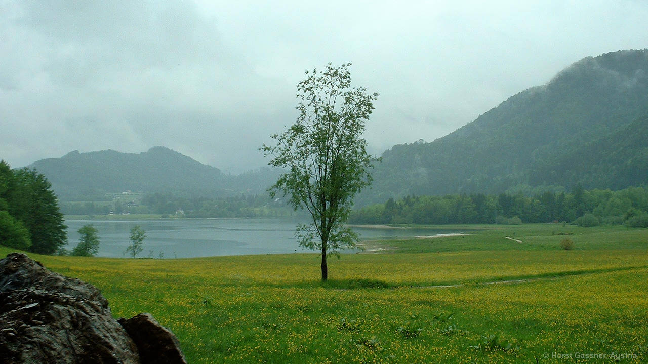 Hintersee auf dem Weg zur Eiskapelle Hintersee auf dem Weg zur Eiskapelle
