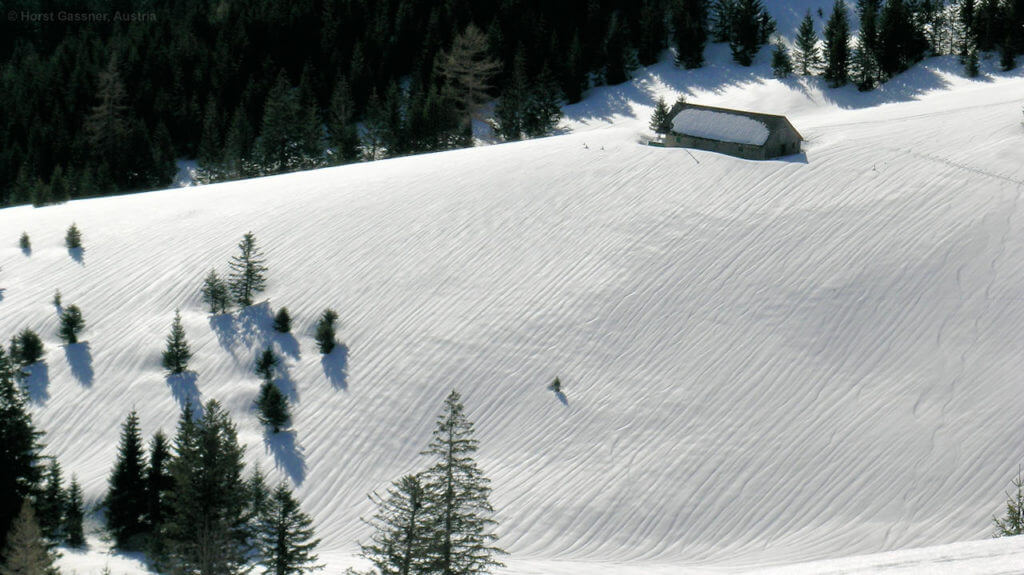 Loibersbacher Höhe - ein Paradies für Schneeschuhe