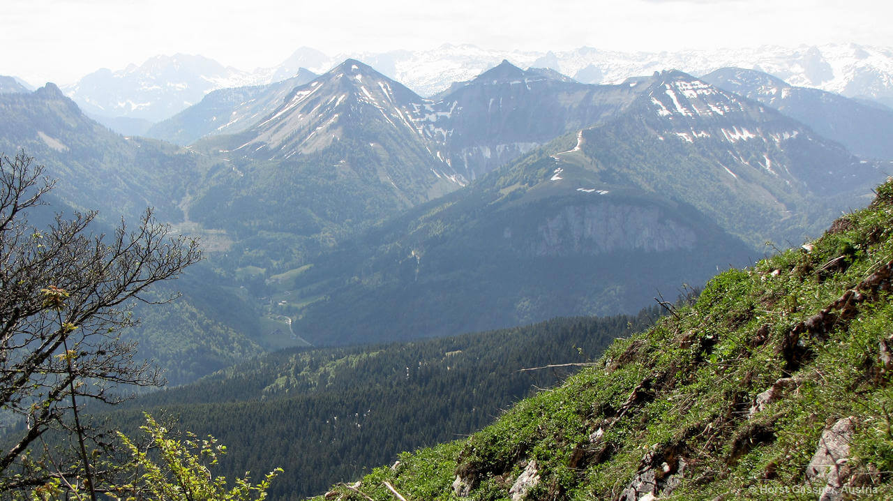 Faistenauer Schafberg auf dem Gipfel