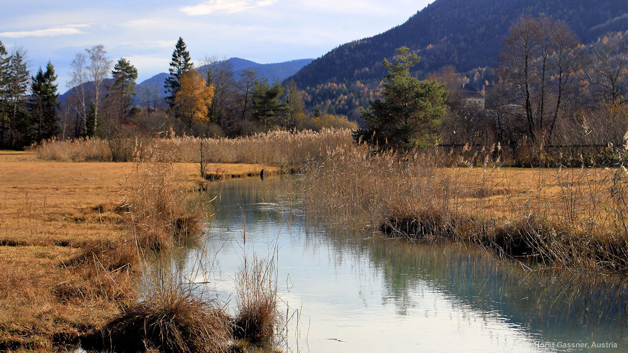 Fuschlache am Fuschlsee Seeweg Fuschlache am Fuschlsee Seeweg