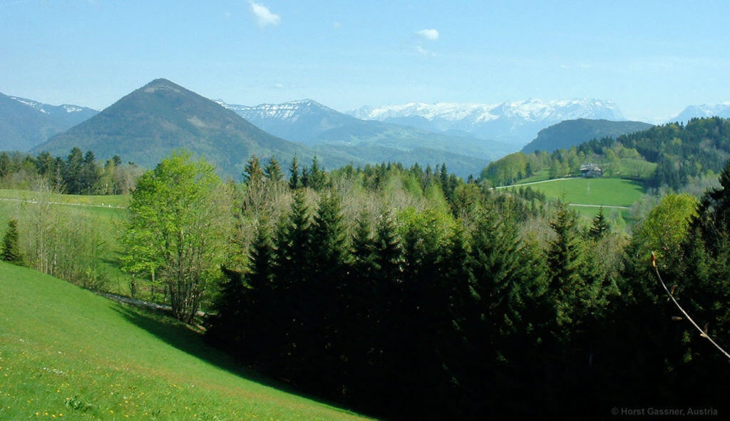 Gaisberg Rundwanderweg