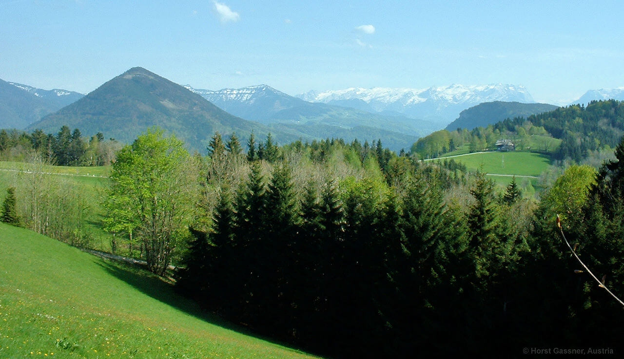 Gaisberg Rundwanderweg