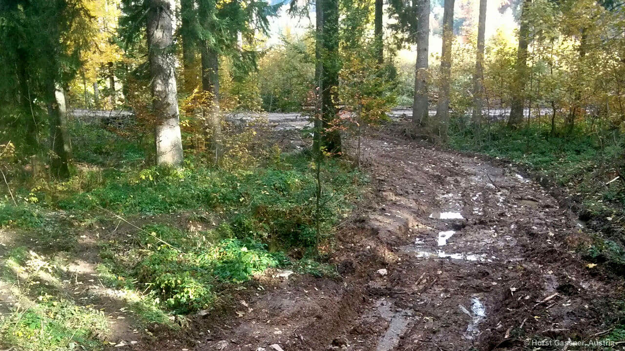 Steig auf die Genneralm, teilweise sehr matschig