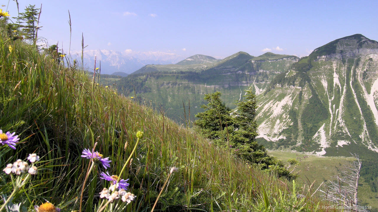 Ausblick vom Gipfel