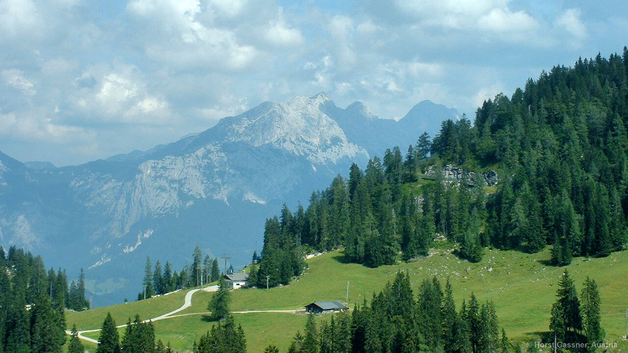 Auf der Loferer Alm