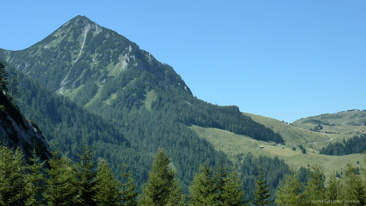 Postalm und Braunedlkogel