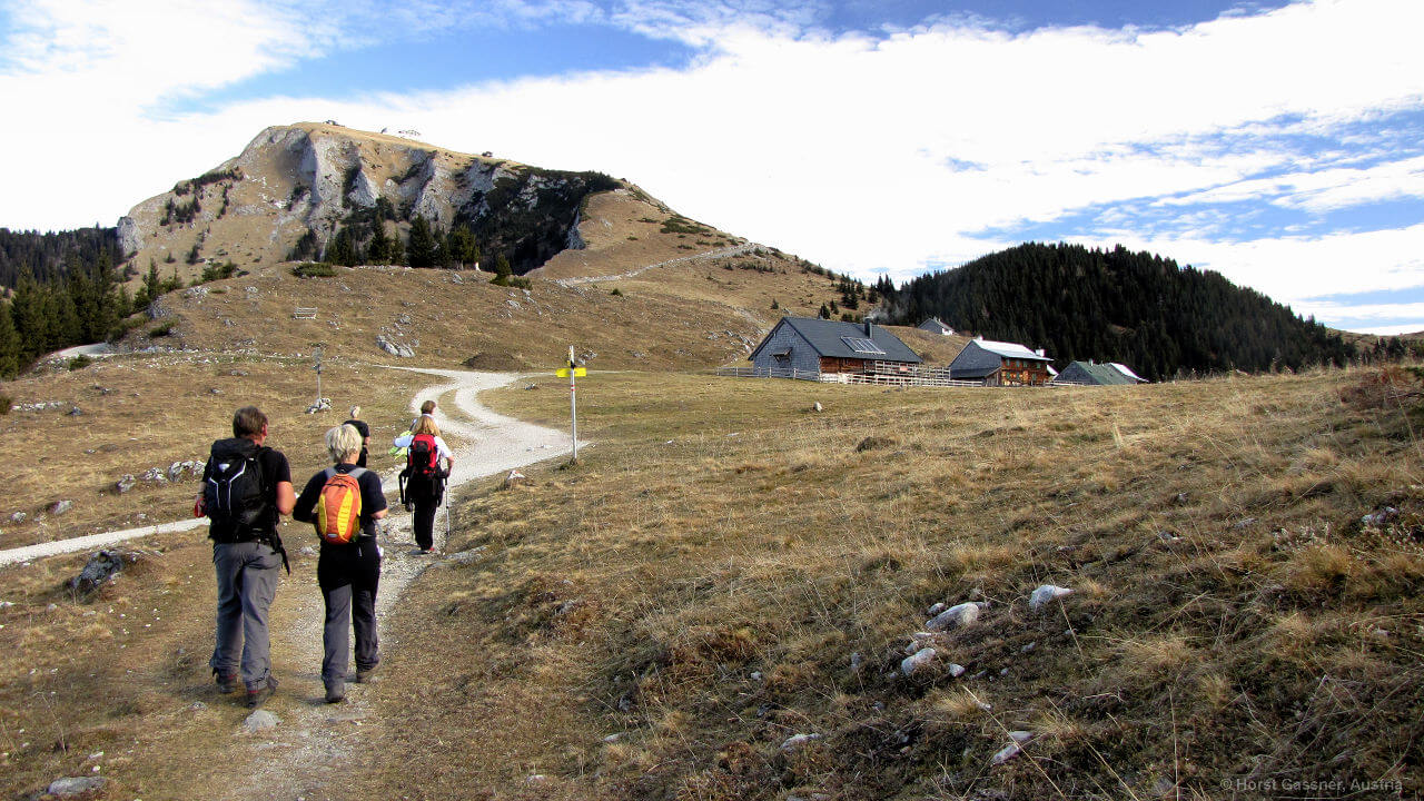 Schafberg (1783m) Austria Insiderinfo