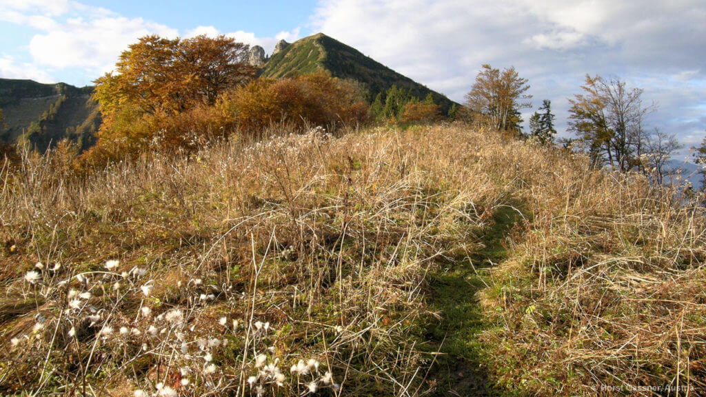 Der langgezogene Grat zum Regenspitz