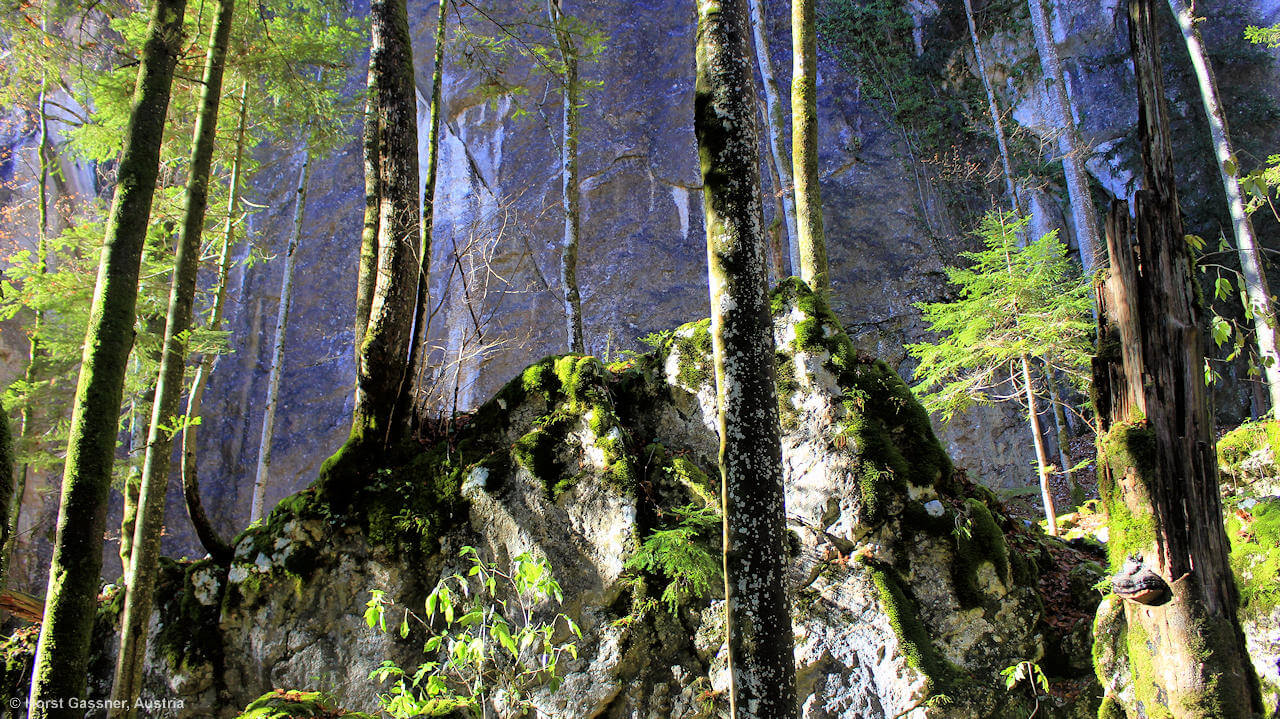 beeindruckende Felsformationen in St. Gilgen am Wolfgangsee Steinklüfte, Felsformationen