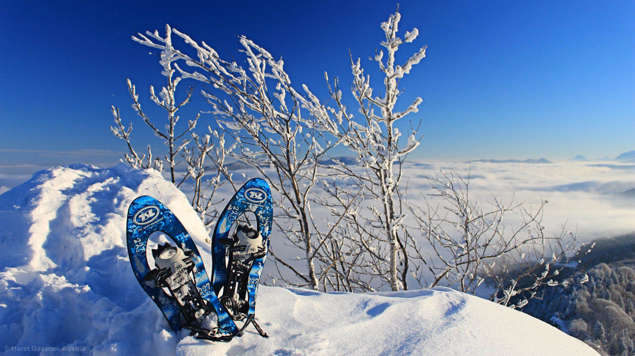 Der Nockstein - mit Schneeschuhen zum Gipfel