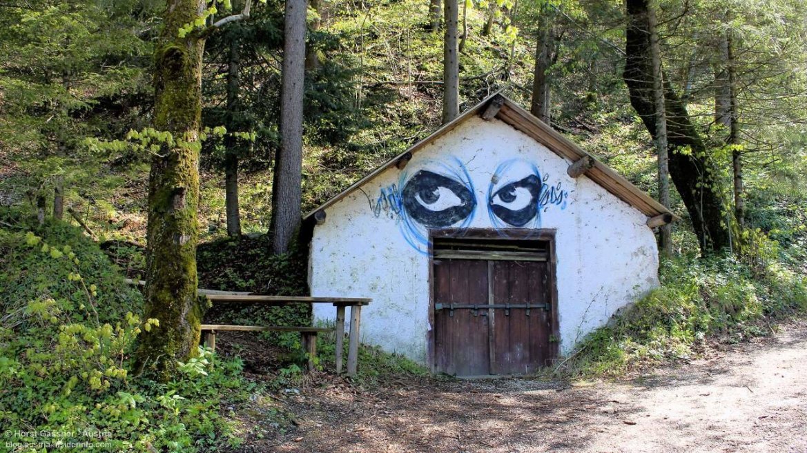 Falkensteinrunde mit Scheffelblick - keine Angst, das Haus beißt nicht! Keine Angst, das Haus beißt nicht!