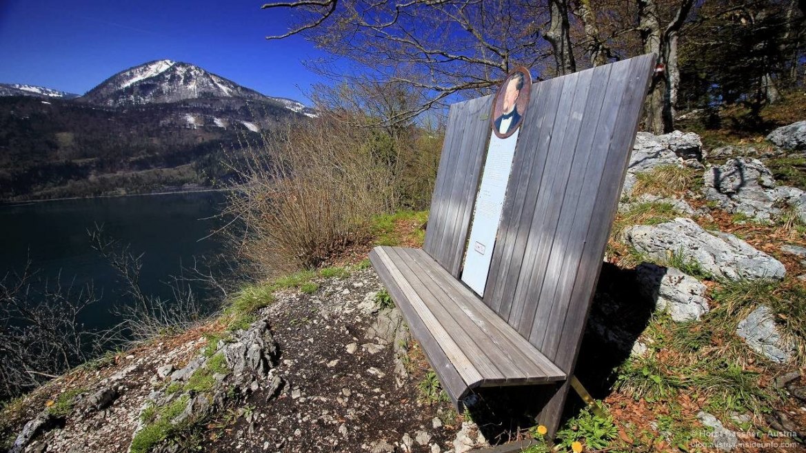 Falkensteinrunde am Scheffelblick Falkensteinrunde am Scheffelblick