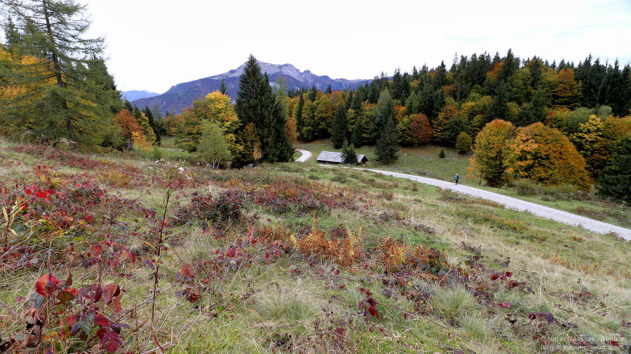 Wanderung auf den Breitenberg am Wolfgangsee. "Schottertraßen pflasterten seinen Weg!" - oder so ähnlich.