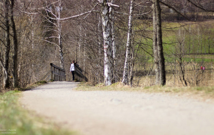 Frühling am Fuschlsee im Salzburger Land