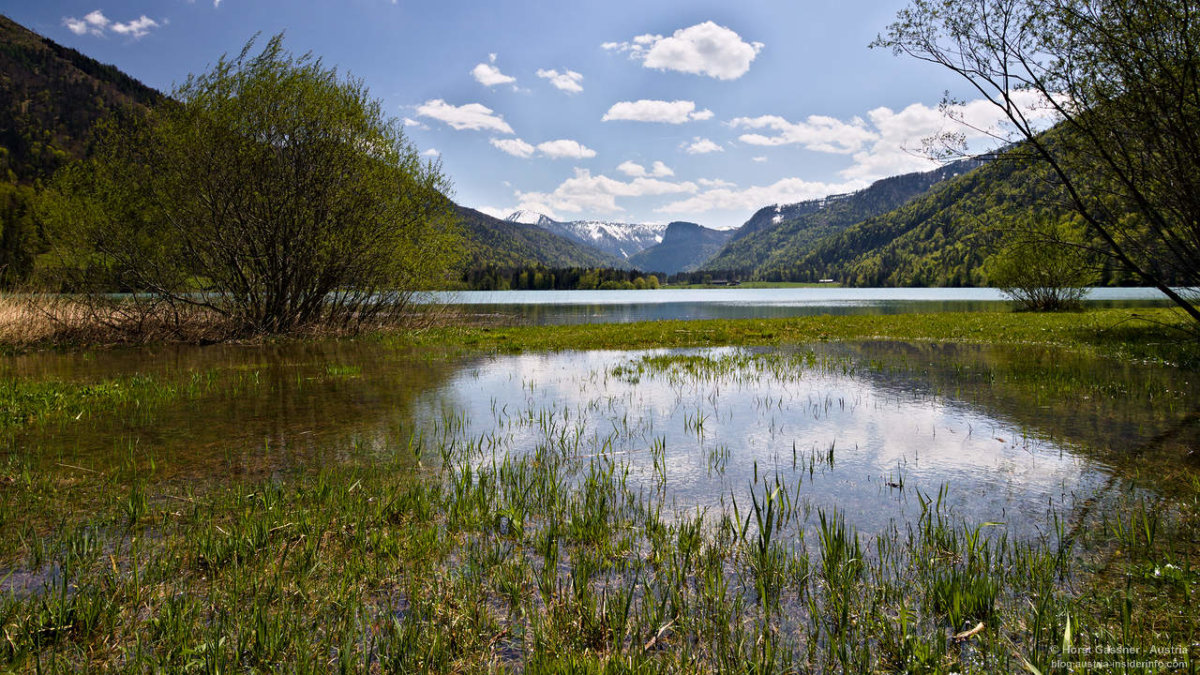 Naturbadesee Hintersee im Salzkammergut - Austria Insiderinfo