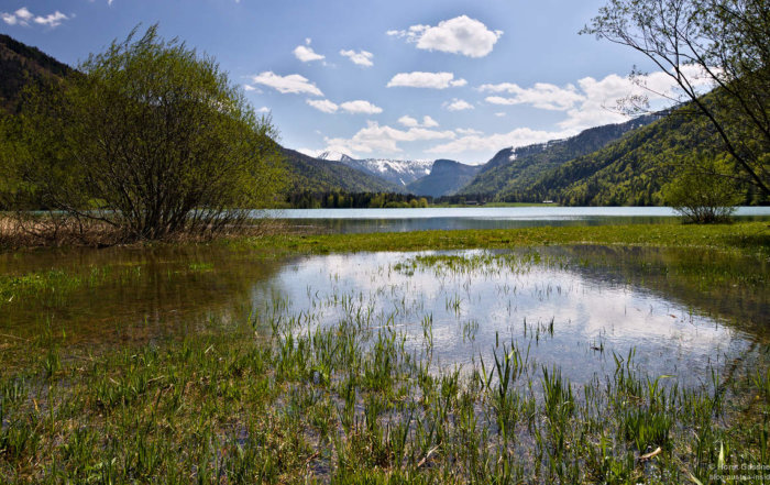 Der Hintersee im Salzkammergut