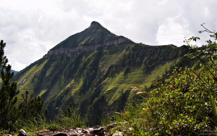 Gruberhorn vom Regenspitz