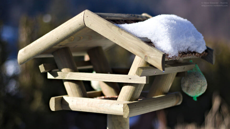 Vogelhaus im Garten