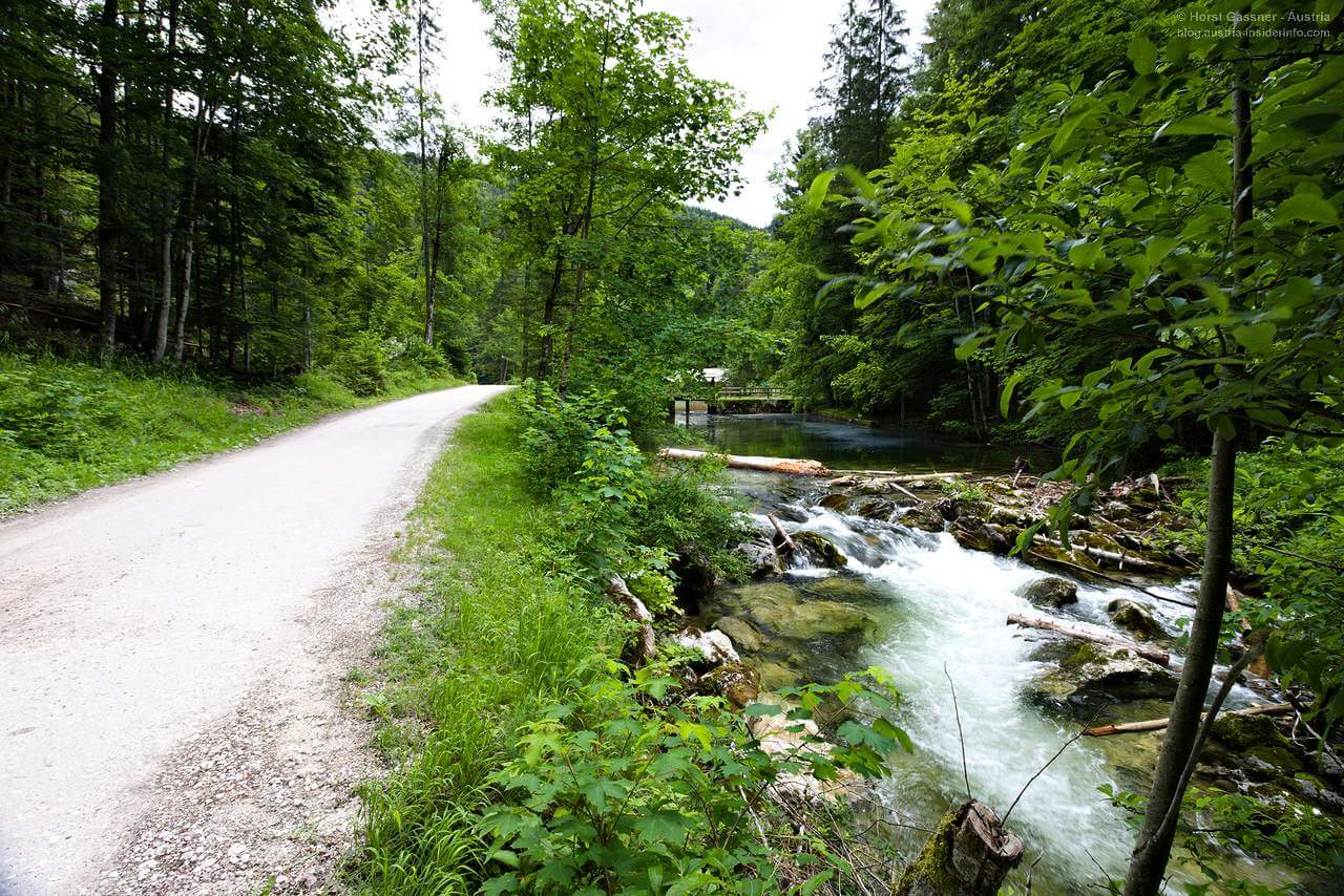Schotterstraße neben dem Bachlauf des Toplitzbaches auf dem Weg zum Toplitzsee