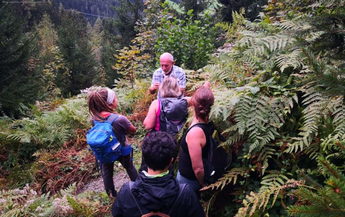 Unterwegs mit einem Nationalpark-Ranger - Salzburger Bergwanderführer