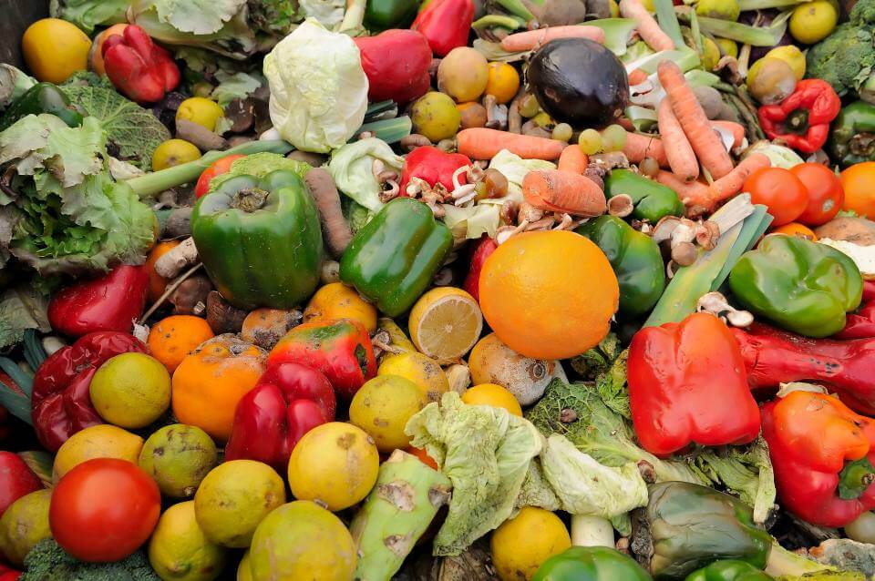 Lebensmittel-Verschwendung - ein großer Berg von Gemüse